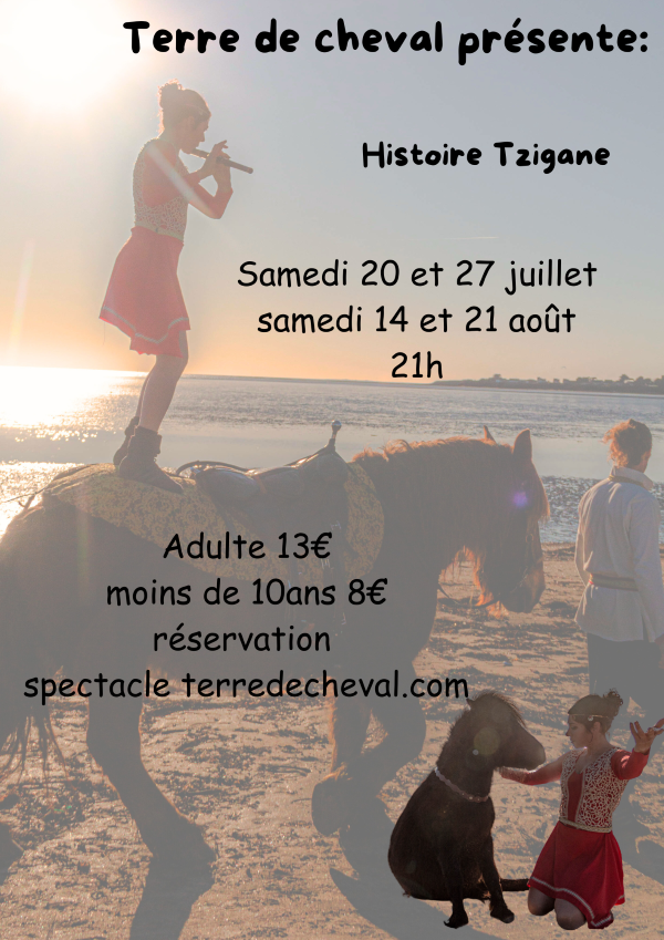 Flayer 2 histoire tzigane banniere